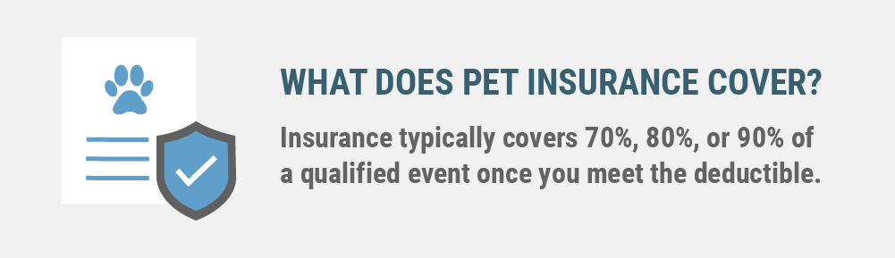 Pet insurance typically covers up to 90% of a qualified event once you meet the deductible.